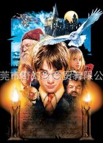 Алмазная мозаика &quot;Harry Potter/Гарри Поттер&quot;, 30*40 см