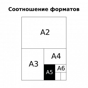 Тетрадь 48л., А5, КЛЕТКА BG ""Monocolor. Element"", 70г/2, soft-touch ламинация, с форзацем