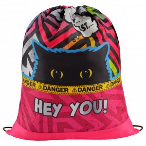 Мешок для обуви 1 отделение ArtSpace ""Spy Cat"", 340*420мм