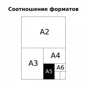 Тетрадь 12л., КЛЕТКА BG ""Mono 12""