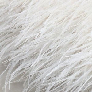 Тесьма с перьями страуса, 8-10 см, 5±0.5 м, белая