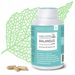 BALANSUS pro - экстракт Веселки с метабиотиками