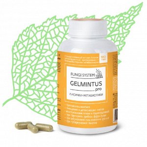 GELMINTUS pro экстракт Лисичек с метабиотиками