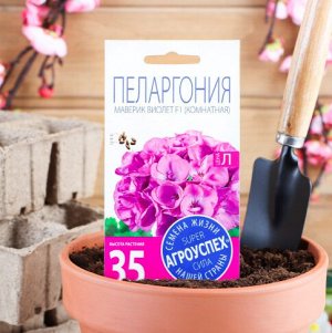 Семена цветов Пеларгония маверик "Виолет"(комнатная), 4 шт.