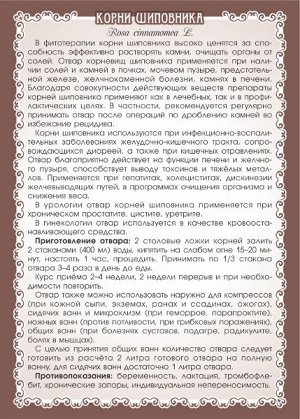 ШИПОВНИК (КОРНИ)