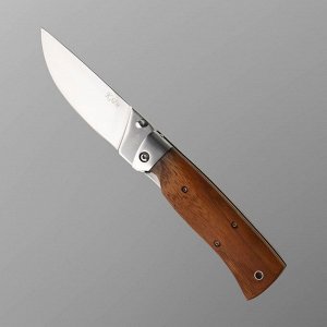 Нож складной "Клён" сталь 65х13, рукоять - гикори, 23 см