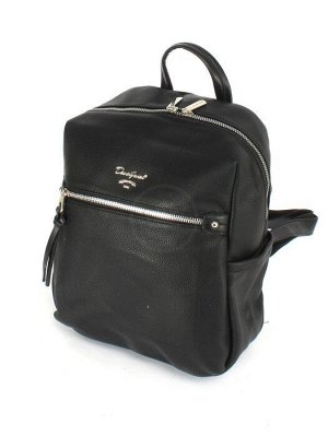 Рюкзак жен искусственная кожа DJ-6953-3-BLAK,  1отд,  2внут+4внеш/карм,  черный 253994