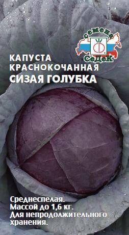 Капуста к/к Сизая Голубка (Код: 15051)