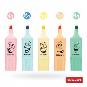 Набор маркеров текстовыделителей Luxor Eyeliter Pastel, 5 штук, 5 цветов, 1.0-4.5 мм, чернила на водной основе, европодвес