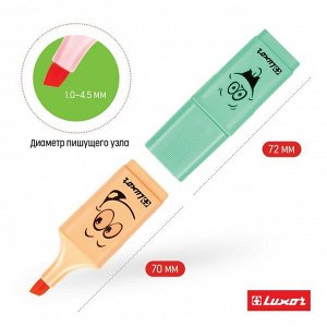 Набор маркеров текстовыделителей Luxor Eyeliter Pastel, 5 штук, 5 цветов, 1.0-4.5 мм, чернила на водной основе, европодвес