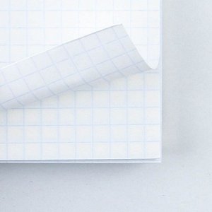 Тетрадь в клетку, 96 л., А5, на спирали, блок №1«Ботаника»