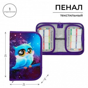 Пенал школьный, 1 секция, 13x21x4 см «Совушка»
