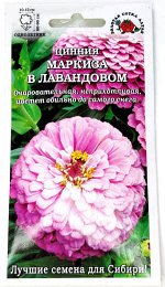 Цветы Цинния Маркиза в ЛавандовомЦВ/П (Сотка) 0,3гр однолетник 80-90см