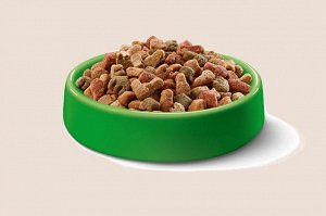Сухой корм для кошек Kitekat, аппетитная курочка, 350г
