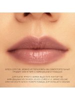 VIVIENNE SABO Блеск для губ Le Grand Volume, тон 11 сливовый щербет