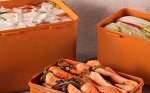 Контейнер с прессом для засолки Nooreum 9.5 л.