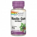 Solaray Mastic Gum Extract 500mg, 45капс. Экстракт мастиковой камеди