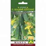 Огурец Младший Лейтенант 10шт Манул