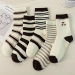 НОСКИ ЖЕНСКИЕ 5 ПАР В УПАКОВКЕ