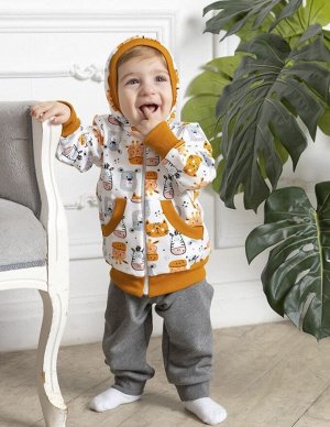 Теплый детский демисезонный костюм для мальчика толстовка и брюки