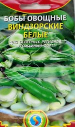 Бобы Русские белые ЦВ/П (ПЛАЗМА) 5шт среднеранний