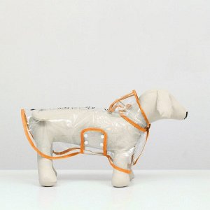СИМА-ЛЕНД Дождевик для собак, размер S (ДС 22, ОГ 35-38, ОШ 36 см), оранжевый