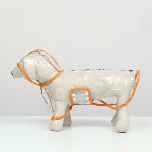 Дождевик для собак, размер S (ДС 22, ОГ 35-38, ОШ 36 см), оранжевый