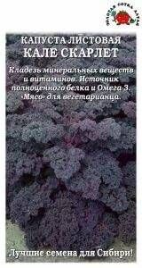 Капуста листовая Кале Скарлет F1 ЦВ/П (Сотка) 0,3гр позднеспелый