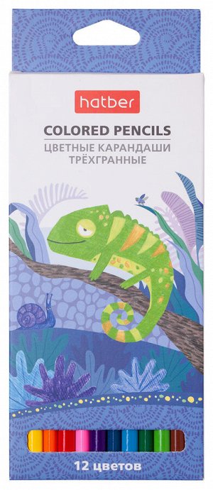 Карандаши цветные Hatber трехгран.корпус 12 цв. COLORA с заточ. в карт.короб. с европодвесом