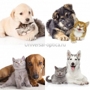 Салфетка из микрофибры в ИУ (Милые животные)