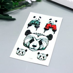 Татуировка на тело цветная "Панда-боксёр" 10,5х6 см
