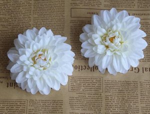 Цветок хризантемы
