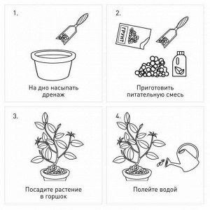 Грунт Кактус 0,5л Аурика