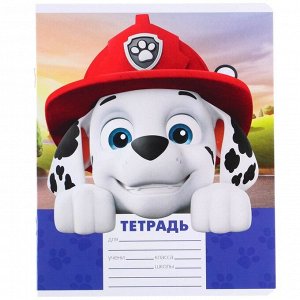 Тетрадь 12 листов, 5 видов МИКС, линейка, Paw Patrol