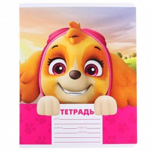 Тетрадь 12 листов, 5 видов МИКС, линейка, Paw Patrol