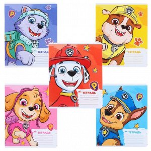 Тетрадь 12 листов, 5 видов МИКС, косая линия, Paw Patrol