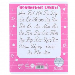 Тетрадь 12 листов в косую линию