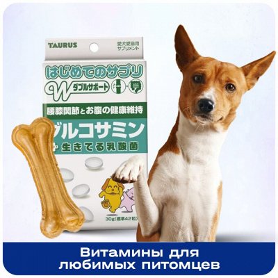 Товары для кошек купить. Совместные покупки на 100сп.