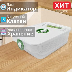 Вакуумный контейнер с дата-индикатором QiFiY Storage Container / 21,3 x 15,5 x 6,5 см