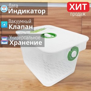 Вакуумный контейнер с дата-индикатором QiFiY Storage Container / 21,7 x 15,5 x 13 см