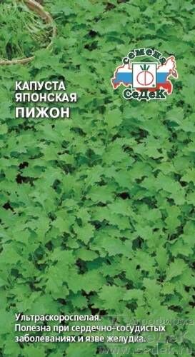 Капуста салат  японская Пижон ЦВ/П (СЕДЕК) 0,5гр ультраскороспелый Салат одуванчик