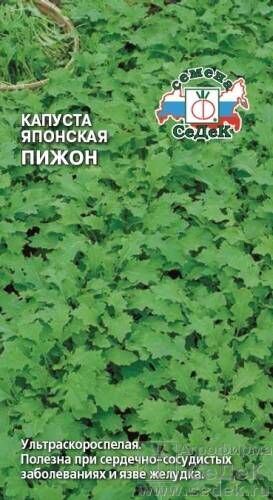 Капуста японская Пижон ЦВ/П (СЕДЕК) 0,5гр ультраскороспелый Салат одуванчик