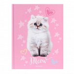 Дневник для 5-11 классов, &quot;Котик&quot;, твердая обложка 7БЦ, глянцевая ламинация, 48 листов