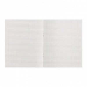 Комплект тетрадей из 4 штук, 48 листов в клетку Calligrata "Black and White", обложка мелованная бумага, блок №2, белизна 75% (серые листы)