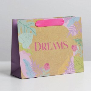 Пакет подарочный «Dreams», 22 × 17,5 × 8 см