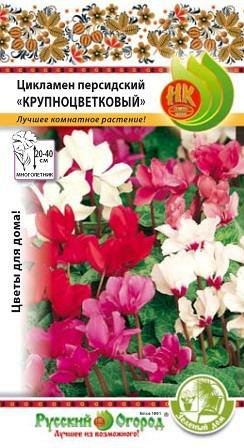 Цветы Цикламен персидский Крупноцветковый (зел.дом) (5шт)