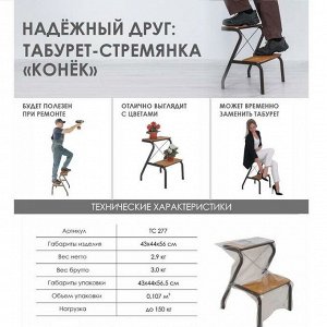 Табурет-стремянка ЗМИ Конек ТС277