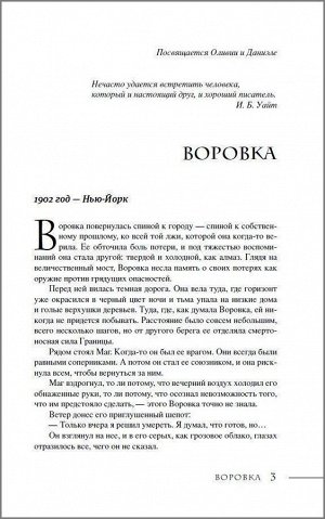 Последний маг. 2. Воровка дьявола