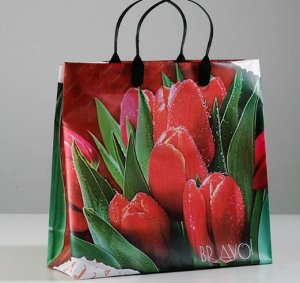 Пакет "Браво", мягкий пластик, 30 х 30 см, 150 мкм