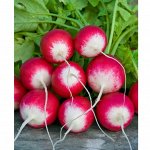 Семенариум — пополнение ассортимента 05.04